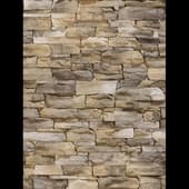Decorative_Stone_55