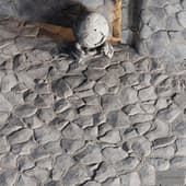 H101 Stone Field | PBR | 4K | Seamless