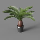 artificial wood cicas palm 65 cm