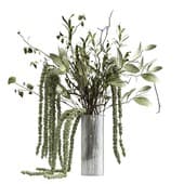 Plant903