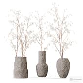 lunaria set/ set with lunaria