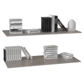 shelves with books\ decor