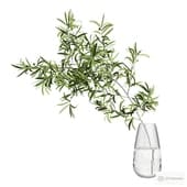 olive branch in a vase.