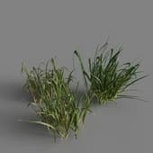 grass 2