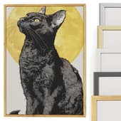 the mystery of the black cat