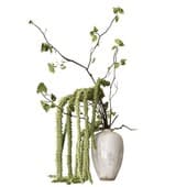 Plant852