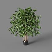 artificial plant undersized multi barreled ficus benjamina 100 cm