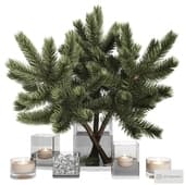 decorative set with pine branches