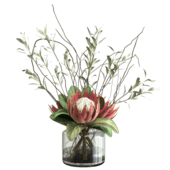 Plant286