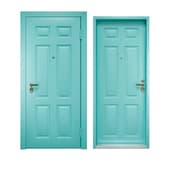colored entrance door
