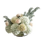 Plant830