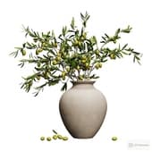 olive branches with olives in a vase