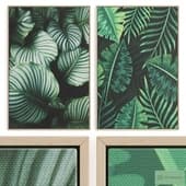 "tropics" poster