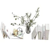 Plant22
