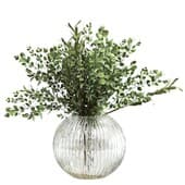 Plant421