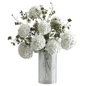 Plant872