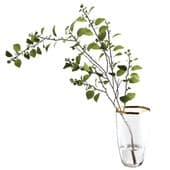 Plant430
