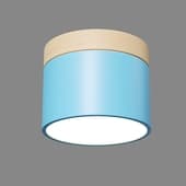 wood blue 20 0810