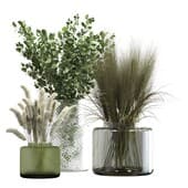 Plant270