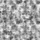 Dirt (5)