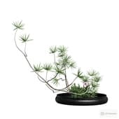 a bouquet of pine branches and asters in a plate.