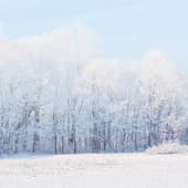 background 9