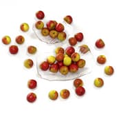 fruits013