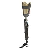 prosthetic leg