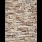 Decorative_Stone_53