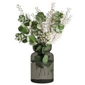 plant258