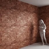 The wall is made of old red brick