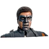 Mister Terrific