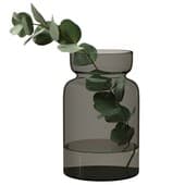 plant257