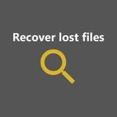 Recover lost assets