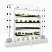 hydroponic hydroponic plant