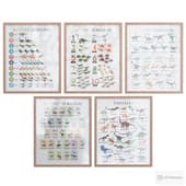 educational posters with the theme "dinosaurs"