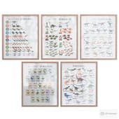 educational posters with the theme "dinosaurs"