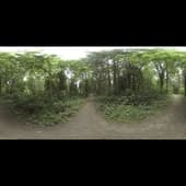whipple_creek_regional_park_04_4k