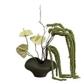 Plant907