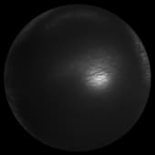 Koga Black