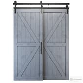 rids2.0 barn door