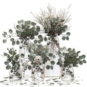 plant262