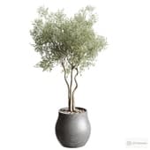 houseplant 01