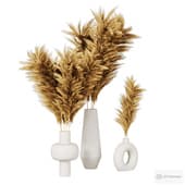 bouquet of pampas