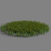 012 simple grass large v3