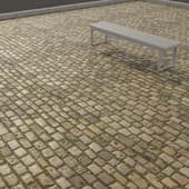 paving stone with greenery