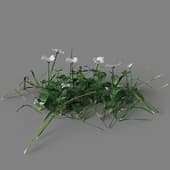 001 simple grass small v1