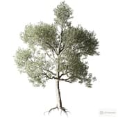 decorative tree tree 01