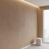 veneer 1