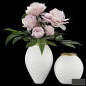 peonies in a vase